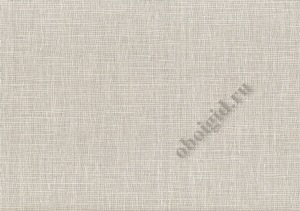 070643 - Aureus - Rasch Textil