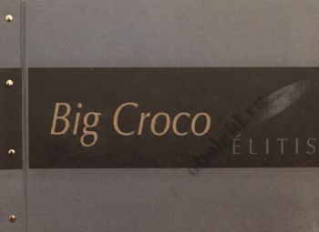 Big Croco