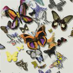 PCL008-01 - Cristian Lacroix - Butterfly Parade - Designers Guild