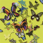 PCL008-04 - Cristian Lacroix - Butterfly Parade - Designers Guild